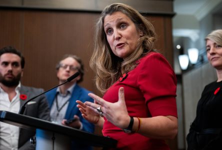 Freeland finds safety in numbers on digital sales tax