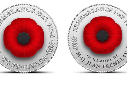 Canadians invited to support Veterans with Digital Poppy